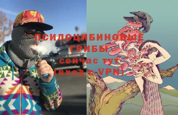 тгк Балахна