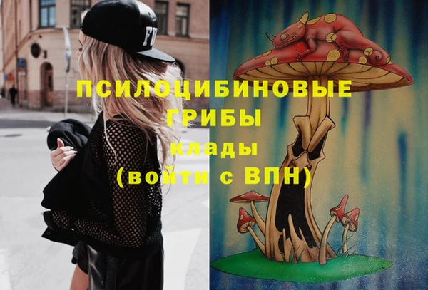 тгк Балахна