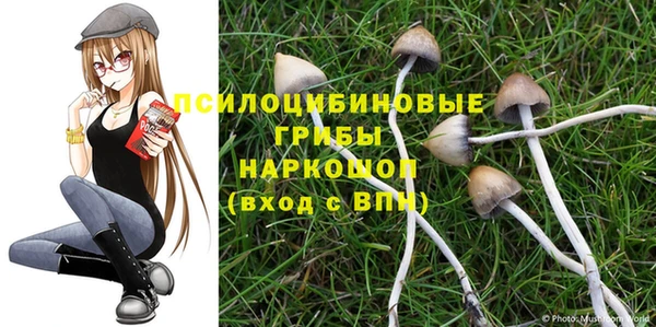 тгк Балахна