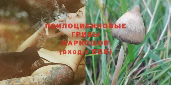 тгк Балахна