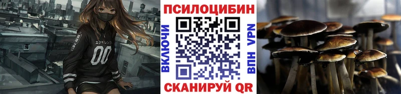 omg вход  что такое   Жуковка  Галлюциногенные грибы мицелий 